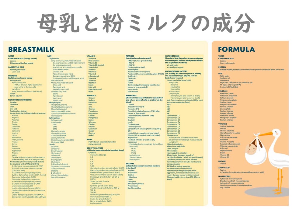 母乳と粉ミルクの成分表