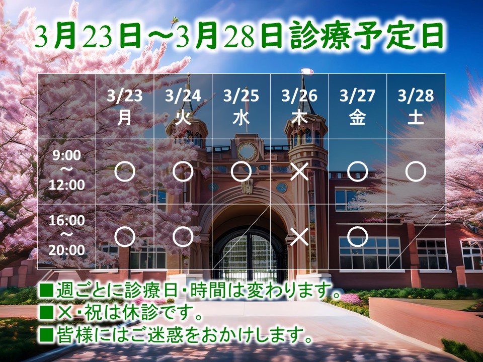 3月23日-3月28日