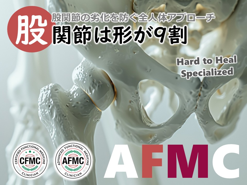 米国発！腰痛・股関節完全攻略法 Recommended stretches for groin