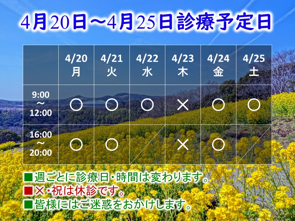 4月20日-4月25日 4月20日-4月25日