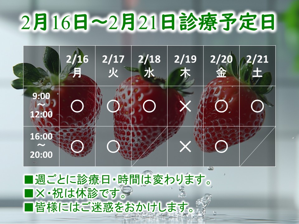 2月16日-2月21日 2月16日-2月21日