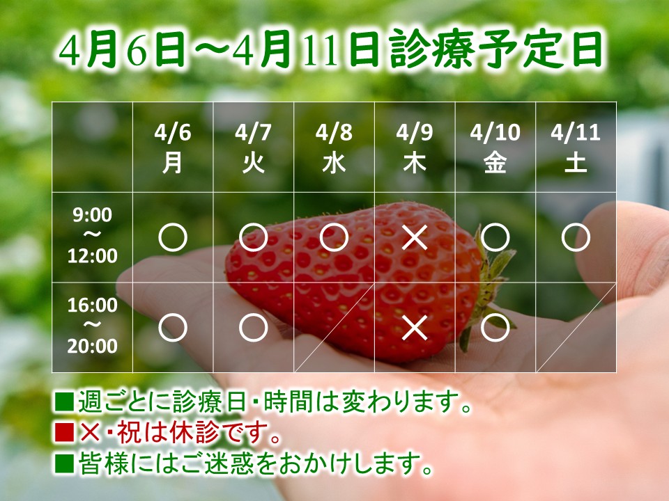 4月6日-4月11日 4月6日-4月11日