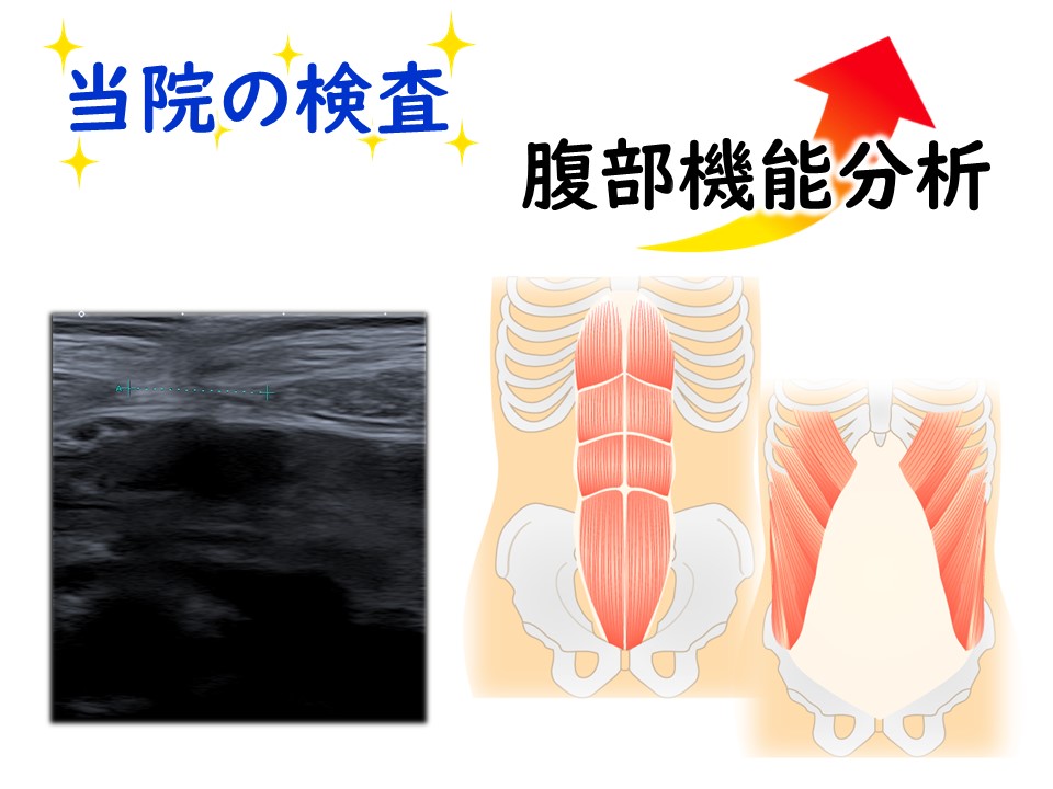 しっかり検査―腹部機能分析　三田市・神戸市・西宮市から多数ご来院の産後骨盤矯正mamaNEXT
